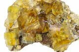 Yellow Cubic Fluorite Cluster - Bergmännisch Glück Mine #281671-1